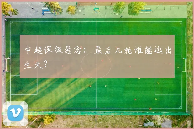 中超保级悬念：最后几轮谁能逃出生天？